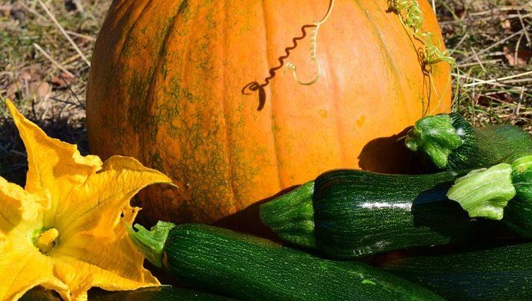 The 5 Do’s and Dont’s for Fall