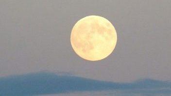 Episode #4. Women and the Moon