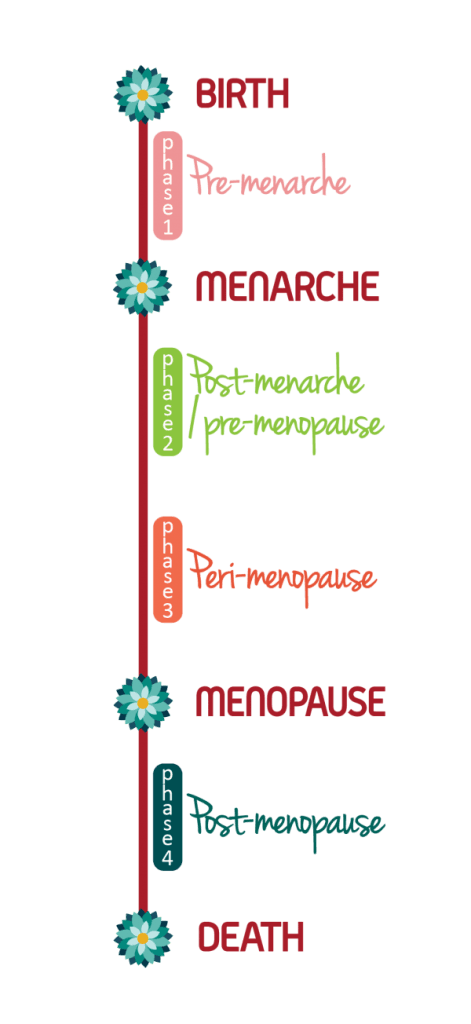 Stages of menopause