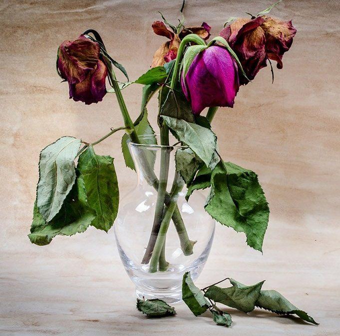 Episode #12. How to navigate grief and loss skillfully